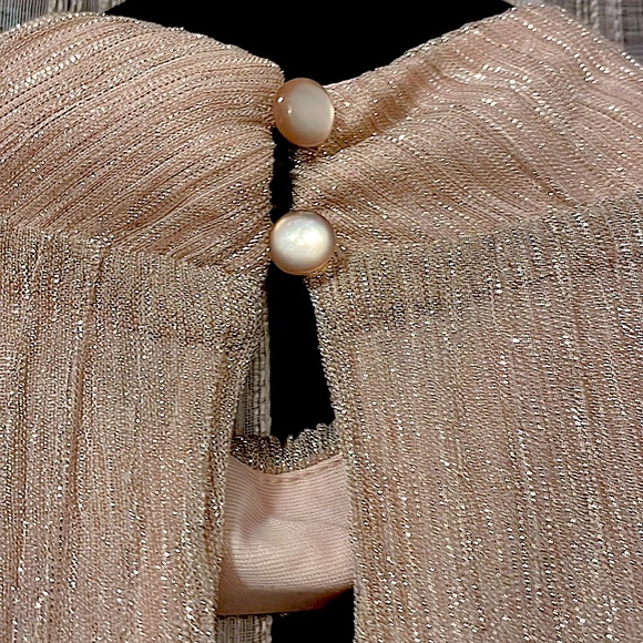 Adiva;Size Large Shimmery Blush Pink, fully lined; sleeveless top - Picture 4 of 5